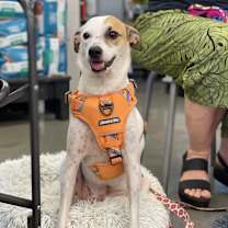 Thumbnail photo of Justin #1