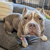 Thumbnail photo of Brad #3