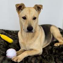 Thumbnail photo of Jax #4