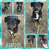 Thumbnail photo of Argo #4