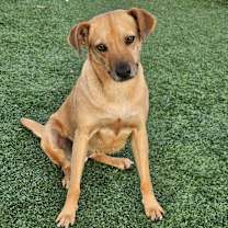 Thumbnail photo of Pilar #3