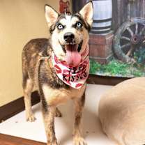 Thumbnail photo of CINAMON #3