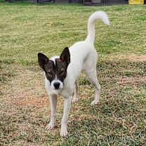 Thumbnail photo of REMI #1