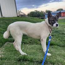 Thumbnail photo of REMI #3