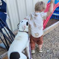 Thumbnail photo of TIKA #3