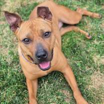 Thumbnail photo of Marilyn #3