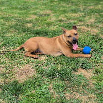 Thumbnail photo of Marilyn #4