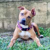 Thumbnail photo of Fiona #1