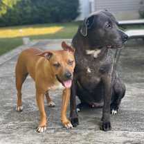 Thumbnail photo of Fiona #4