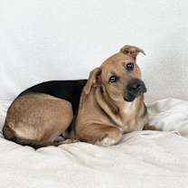 Thumbnail photo of Perfect Charlyn #2