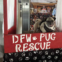 Thumbnail photo of Mayes #2