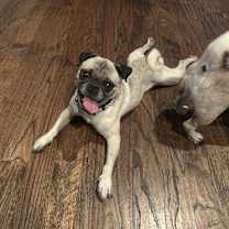 Thumbnail photo of Mayes #3