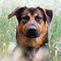 Thumbnail photo of Rum #3