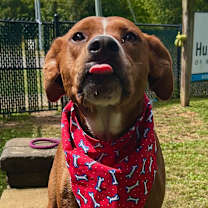 Thumbnail photo of Donut #4