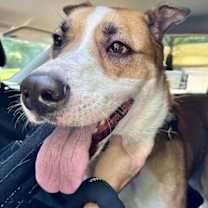 Thumbnail photo of Lucky Jackson #2