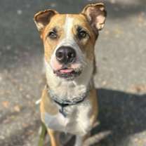 Thumbnail photo of Lucky Jackson #3