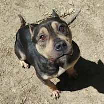 Thumbnail photo of Queen #3