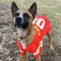 Thumbnail photo of Tito #1