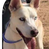 Thumbnail photo of Jack Snow #2