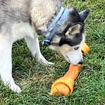 Thumbnail photo of Nahkita #3