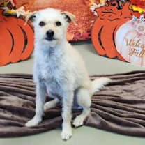 Thumbnail photo of Ricky #2