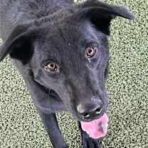 Thumbnail photo of Mercury #1