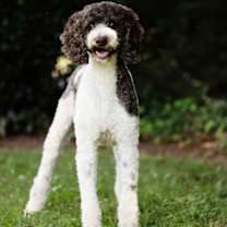 Thumbnail photo of Luna #3