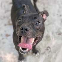 Thumbnail photo of Mystic 28100 #1