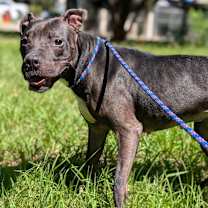 Thumbnail photo of Mystic 28100 #2