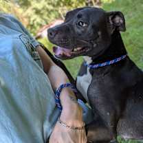 Thumbnail photo of Mystic 28100 #4