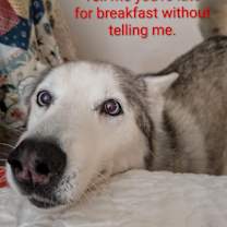 Thumbnail photo of Bell #2