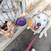 Thumbnail photo of Bell #3