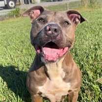 Thumbnail photo of NOLA #2