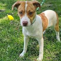 Thumbnail photo of Amy #4