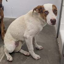 Thumbnail photo of Jerry #2