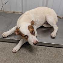 Thumbnail photo of Jerry #3