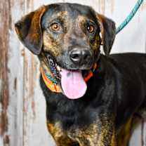 Thumbnail photo of Walter #3