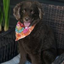 Thumbnail photo of Jake #1