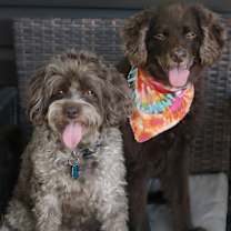 Thumbnail photo of Lucy #3