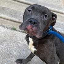 Thumbnail photo of Hank #2