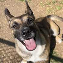 Thumbnail photo of CLARA BELLE #4