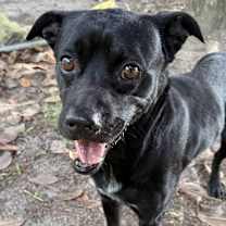 Thumbnail photo of Craig [Foster Home] #3