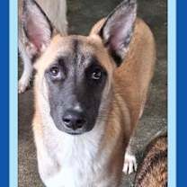 Thumbnail photo of CRUZ #2