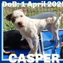 Thumbnail photo of CASPER #2
