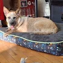 Thumbnail photo of LUCY #2