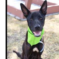 Thumbnail photo of Warrant - Located in OK #1