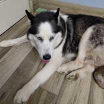 Thumbnail photo of Libby #4