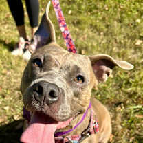 Thumbnail photo of Summer #3