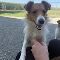 Thumbnail photo of Audrey #1