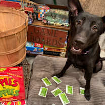 Thumbnail photo of Apple #1